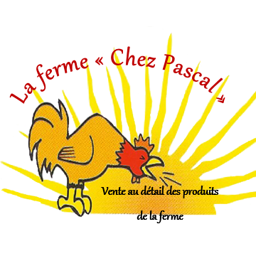 image de profile de Pascal
