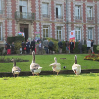 image de profile de Lycée agricole privé de Tourville sur Pont-Audemer