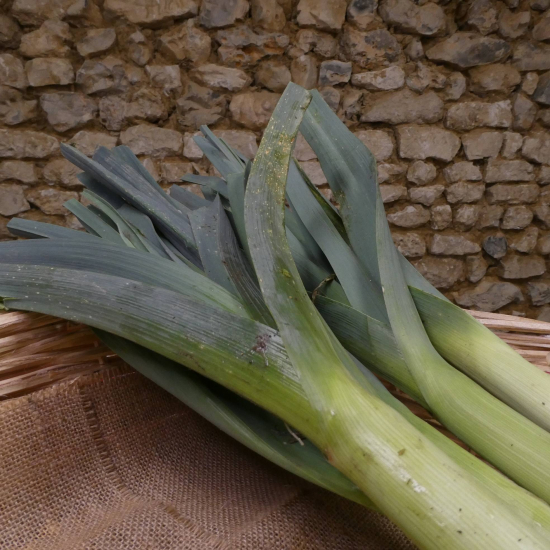 Poireaux bio