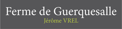 Bourguignon 750gr