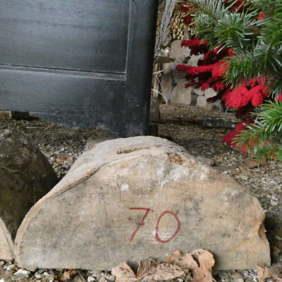 Socle de sapin en bois / buche