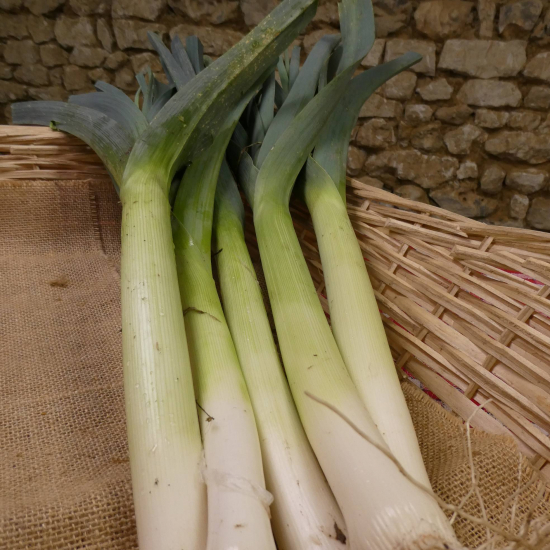 Poireaux bio