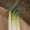 Poireaux bio