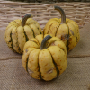 Courge Patidou bio - 1kg