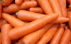 Carottes lavées de Normandie