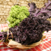 Choux kale bio - la botte