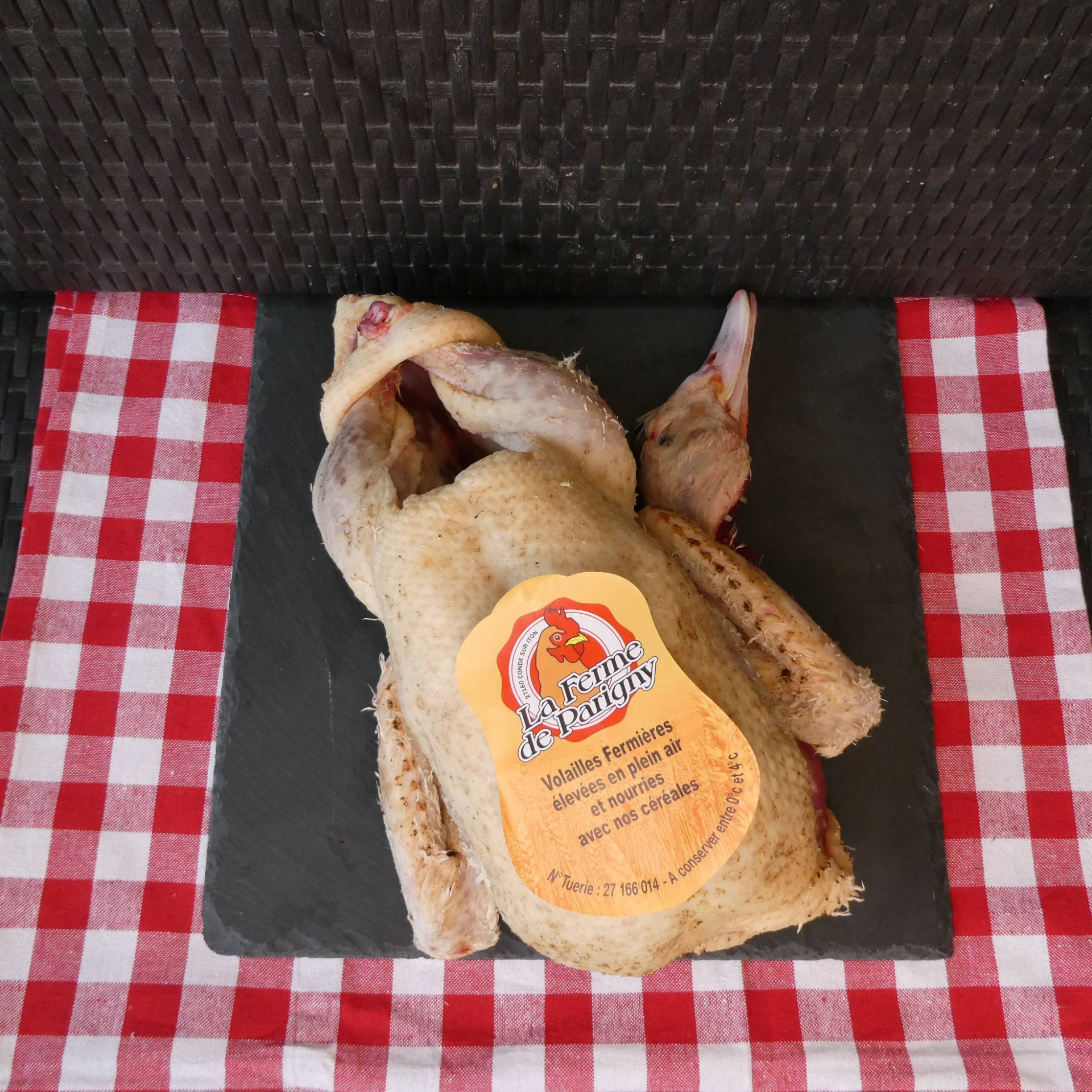 Canette / Canard