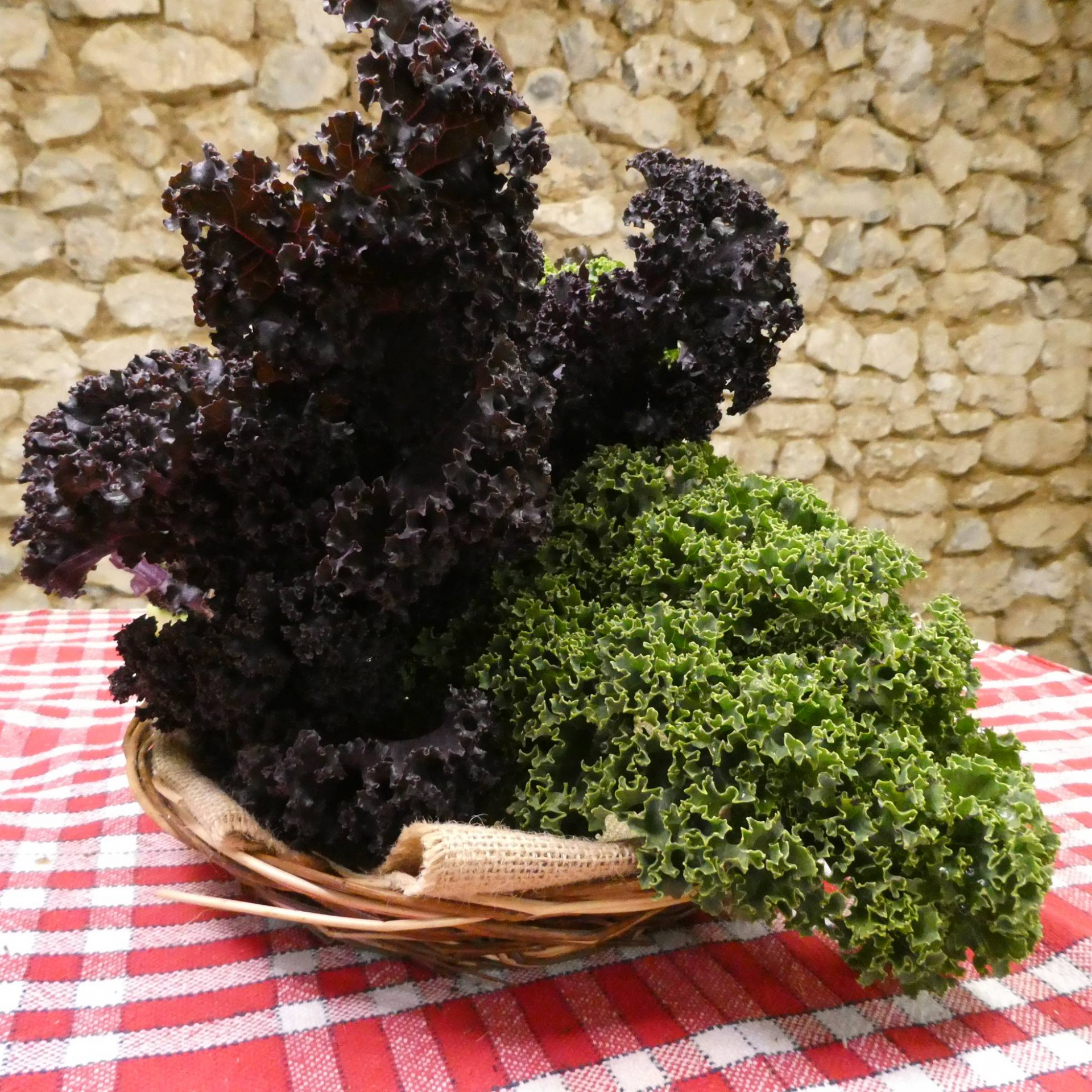 Choux kale bio - la botte